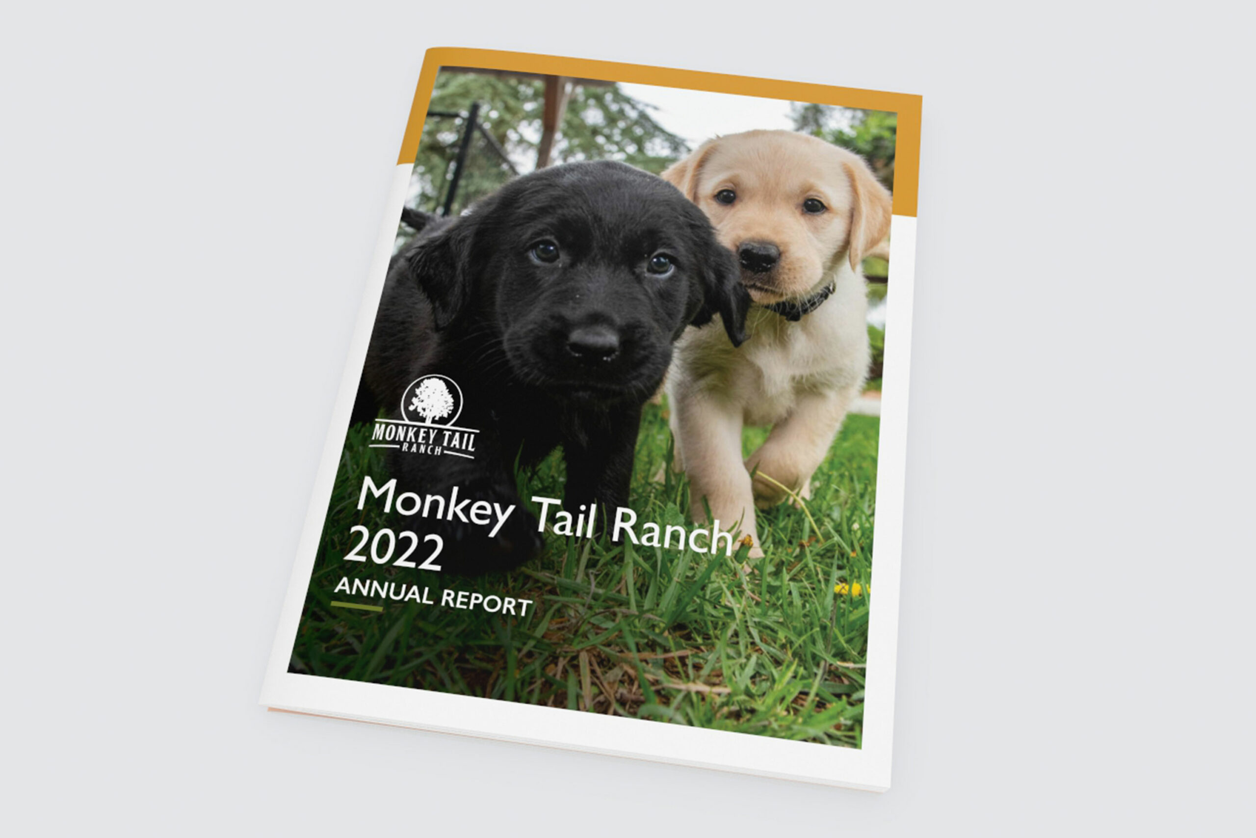 Monkey Tail Ranch 2022 Annual Report
